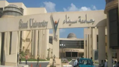 تنسيق جامعة سيناء