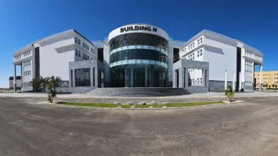 جامعة سيناء بالقنطرة