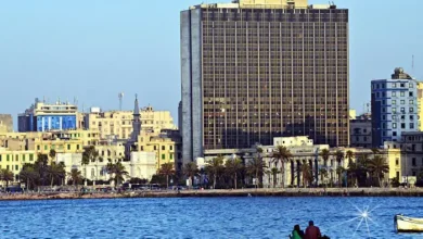 مصاريف جامعة سنجور