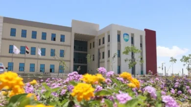 جامعة العلمين الدولية