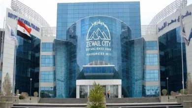 مصاريف جامعة زويل