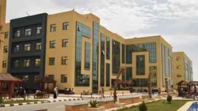 مصاريف جامعة سفنكس