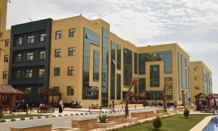 مصاريف جامعة سفنكس