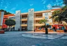 كلية BIS بالزمالك