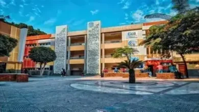 كلية BIS بالزمالك