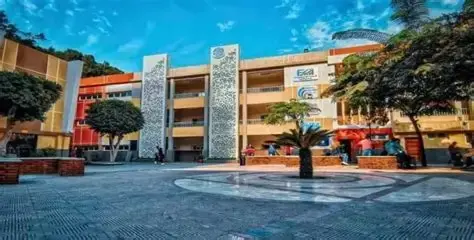 كلية BIS بالزمالك